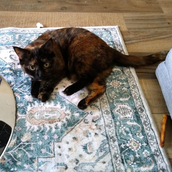 Persian Vintage Floor Mat, Boho Tribal Area Rug Stain Resistant SIZE 2x3 - Picture 10 of 10